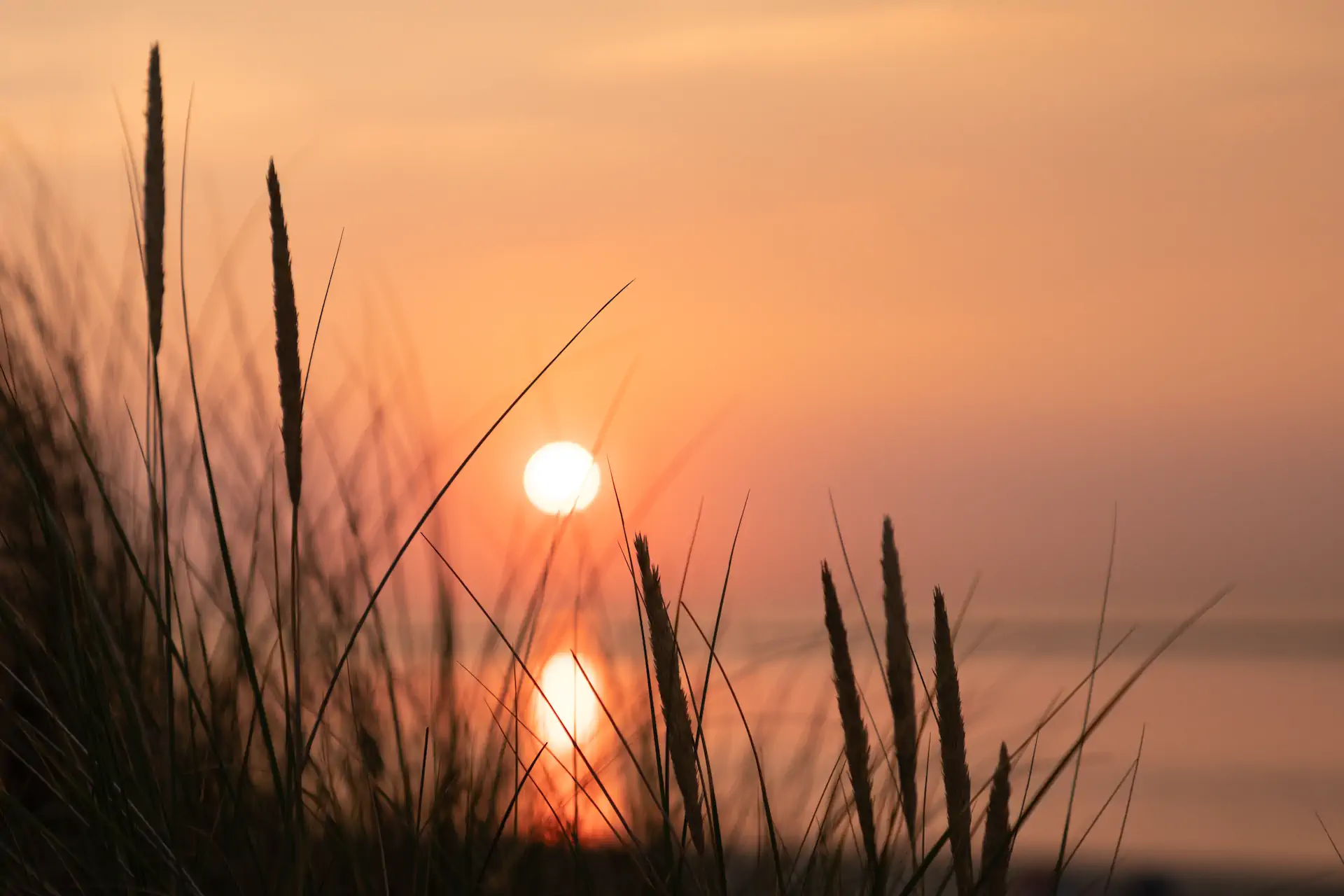 Coucher de soleil