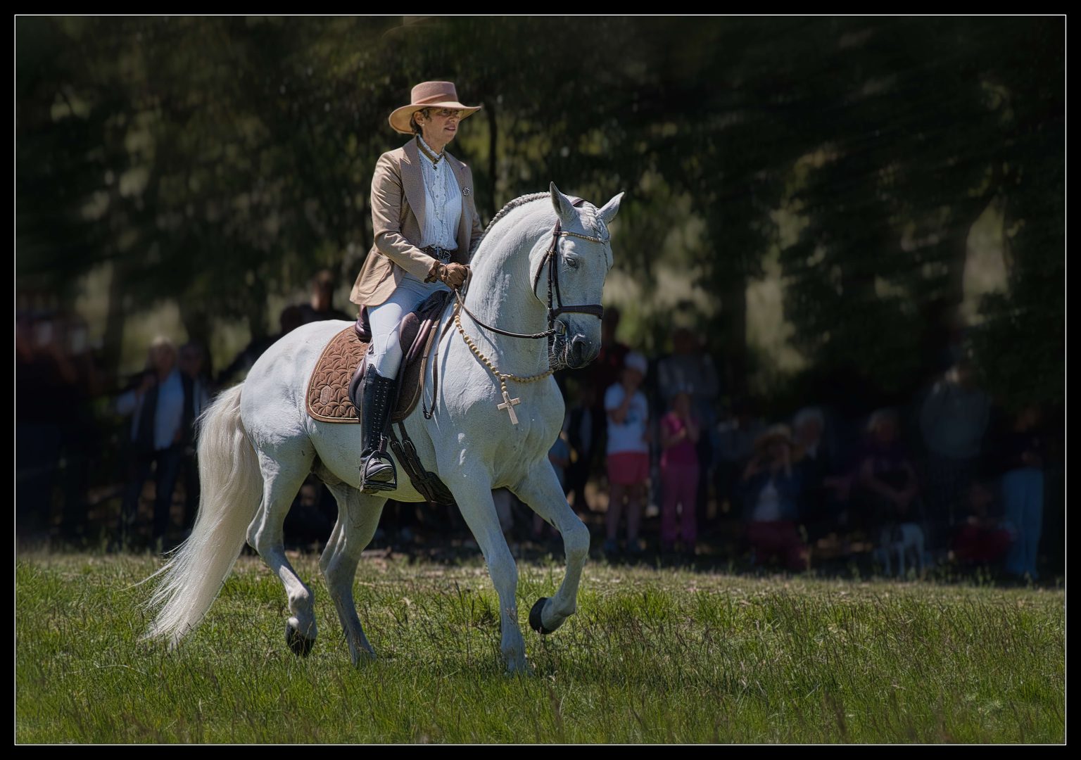 Art equestre