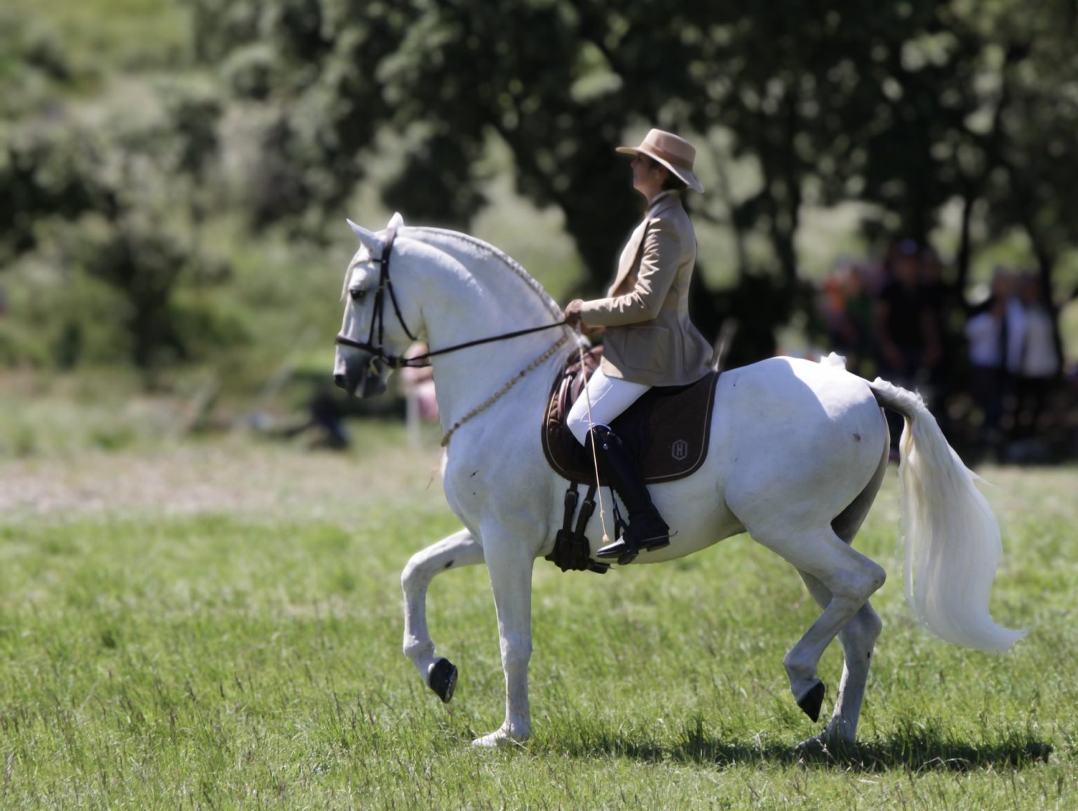 L’élégance d’une cavalière et son cheval.