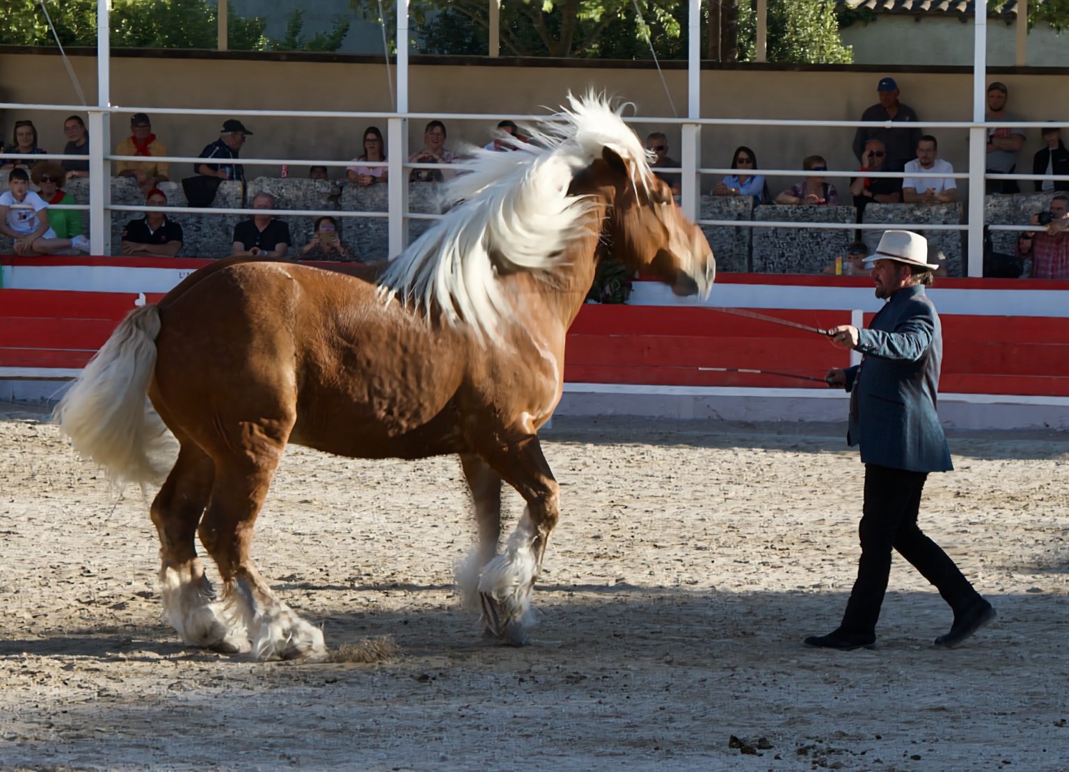 Traditions en Provence