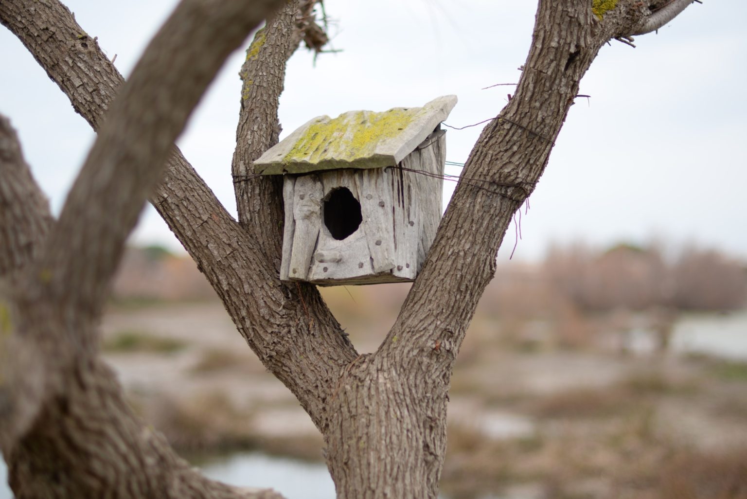 la cabane à Pioupiou