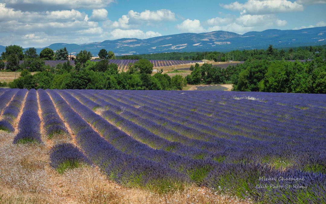 paysages de Provence