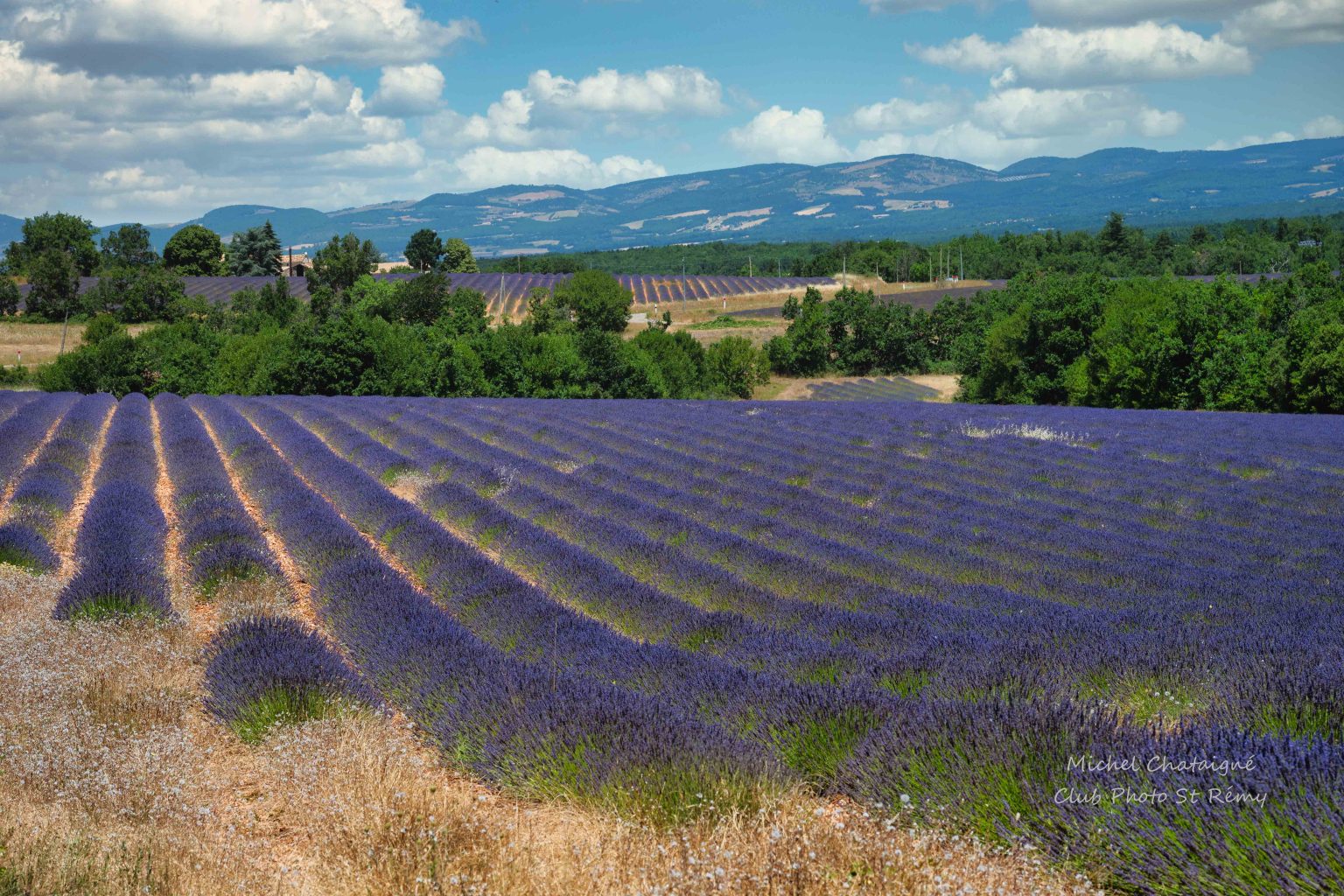 paysages de Provence