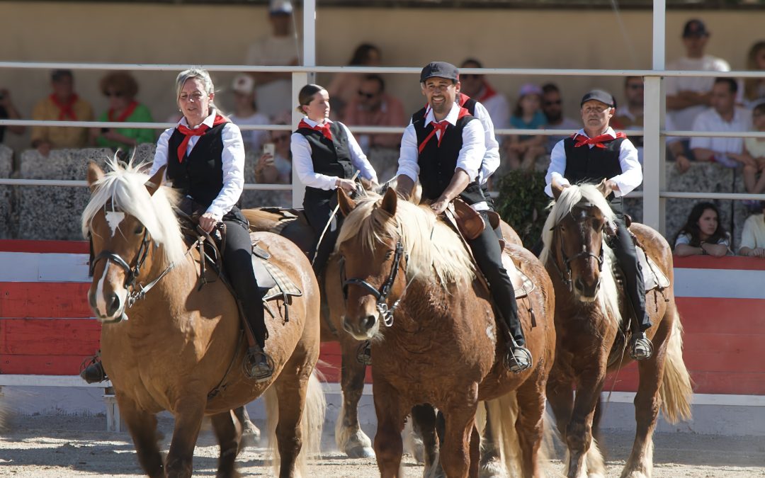 Les Traits du Val de Provence