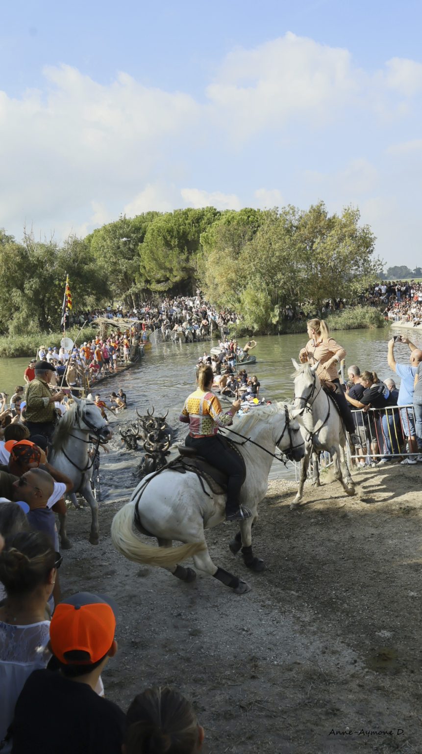 Gase de St Rémy de Provence