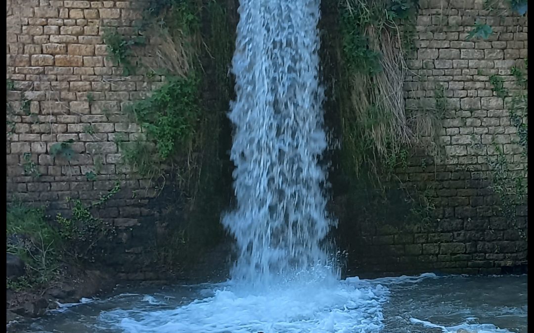 Senji aux cascades