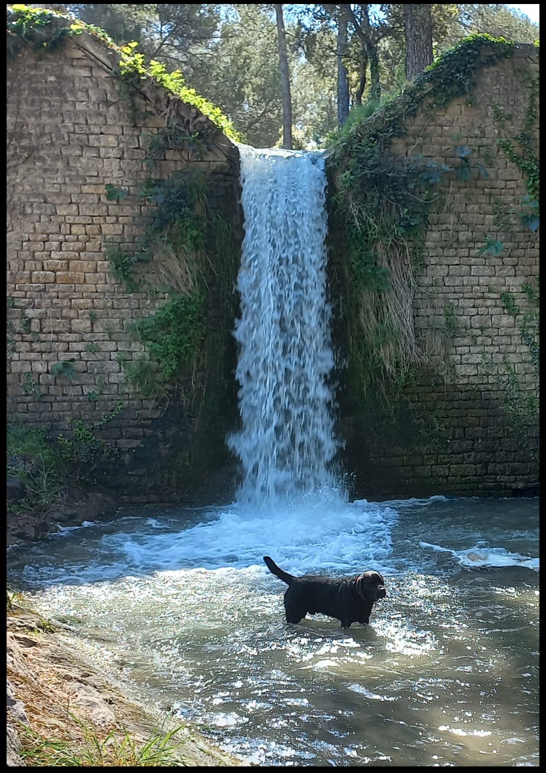 Senji aux cascades